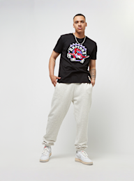 Mitchell & Ness, NBA Team Logo Tee Toronto Raptors, black, Image 5 of 5