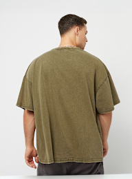 Karl Kani, Small Signature Heavy Jersey Washed Boxy Tee, green, Image 2 of 4
