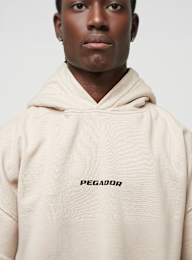 Pegador, Colne Logo Oversized Hoodie, white, Image 3 of 5