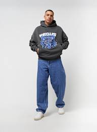 PEQUS, Medusa Graphic Hoodie, grijs, Afbeelding 4 van 5