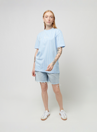 Karl Kani, Small Signature Tonal Pinstripe Oversized Tee, blue, Image 4 of 4