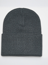 Carhartt WIP, Acrylic Watch Hat, grey, Image 2 of 3