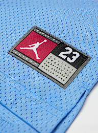 Jordan, Junior 23 Jersey, blue, Image 5 of 5