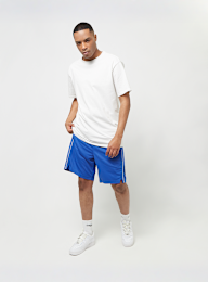 Nike  , NBA Dal MNK Dri Fit SWGMN Short ICN 18, blue, Image 7 of 7