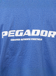 Pegador, Colne Logo Oversized Tee, blue, Image 4 of 5