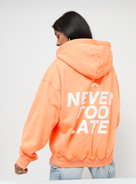 Pegador, Airville Oversized Zip Hoodie, oranje, Afbeelding 1 van 5