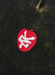 Zoo York, Apple Dad Cap, black, Image 4 of 5