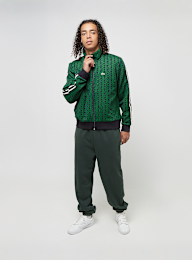Lacoste, SWEATSHIRT black, green, Image 6 of 6