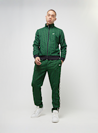 Lacoste, Trackpants, green, Image 7 of 7
