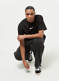 Dickies, Enterprise Tee Shortsleeve, zwart, Afbeelding 4 van 4