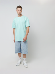 Karl Kani, Small Signature Essential Tee, turkoois, Afbeelding 4 van 4