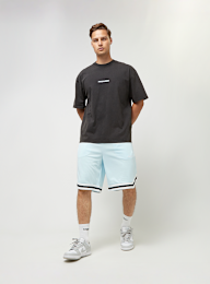 Pegador, Lansing Baskteball Shorts, blauw, Afbeelding 4 van 4