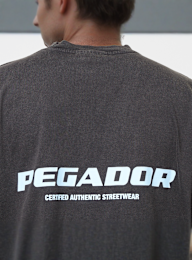 Pegador, Colne Logo Oversized Tee, zwart, Afbeelding 4 van 5