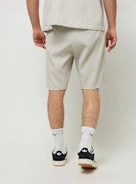 Pegador, Troy Plissee Shorts, grey, Image 2 of 4