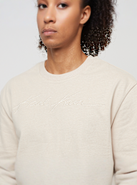 Karl Kani, Autograph Heavy Jersey Boxy Tee, beige, Image 3 of 4