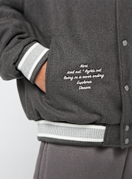 Karl Kani, Snow Tiger College Jacket, grey, Image 4 of 6
