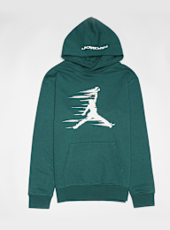 Jordan, Michael Jordan Flight MVP High Brand Read Fleece Pullover, green, Image 1 of 6