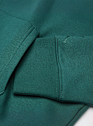 Jordan, Michael Jordan Flight MVP High Brand Read Fleece Pullover, green, Image 5 of 6