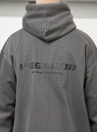 Pegador, Colne Logo Oversized Sweat Jacket, grijs, Afbeelding 4 van 5