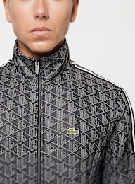 Lacoste, SWEATSHIRT croissant/cookie-port, grey, Image 3 of 6