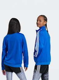 adidas Originals, Adicolor Firebird Originals Jacket, blue, Image 2 of 5