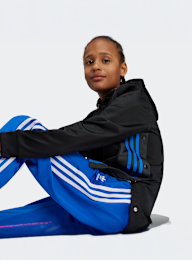 adidas Originals, Adicolor Firebird Pants, blue, Image 4 of 5