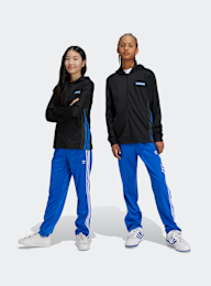 adidas Originals, Adicolor Firebird Pants, blue, Image 5 of 5