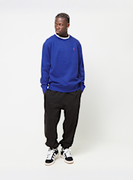Polo Ralph Lauren, LSCNM1-Long Sleeve-Knit, blue, Image 4 of 4