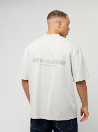 Pegador, Colne Logo Oversized Tee, grey, Image 1 of 5