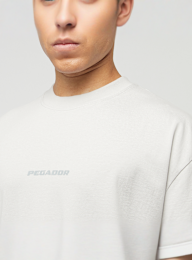 Pegador, Colne Logo Oversized Tee, grey, Image 3 of 5
