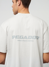 Pegador, Colne Logo Oversized Tee, grey, Image 4 of 5