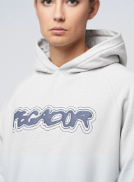Pegador, Anclar Oversized Raglan Hoodie, grijs, Afbeelding 3 van 4