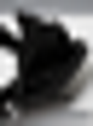 Jordan, JAM Franchise Hip Bag, black, Image 4 of 4