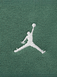 Jordan, Brooklyn Fleece Oversized Hoodie, green, Image 3 of 5