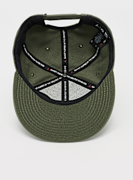 Jordan, Pro Cap Jumpman, green, Image 3 of 4