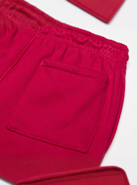 Jordan, Junior Michael Jordan Brooklyn Fleece Essential Pant, red, Image 4 of 4