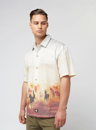 Dickies, Running Wild Shortsleeve Shirt, multicolor, Afbeelding 1 van 4