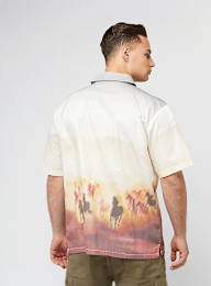 Dickies, Running Wild Shortsleeve Shirt, multicolor, Afbeelding 2 van 4