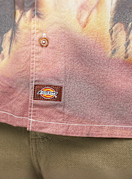 Dickies, Running Wild Shortsleeve Shirt, multicolor, Afbeelding 3 van 4