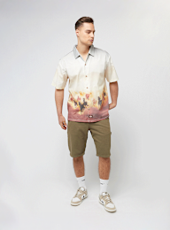 Dickies, Running Wild Shortsleeve Shirt, multicolor, Afbeelding 4 van 4