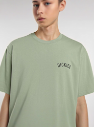 Dickies, Snake Tee, green, Image 3 of 5