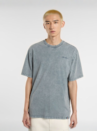 Dickies, Plentywood Tee, blauw, Afbeelding 1 van 5