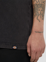 Dickies, Plentywood Tee Short Sleeve, grey, Image 4 of 5