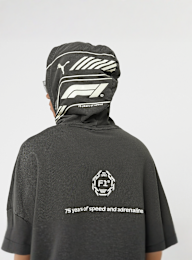 PUMA, F1 Hoodie, grey, Image 6 of 7