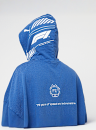 PUMA, F1 Hoodie, blauw, Afbeelding 6 van 7