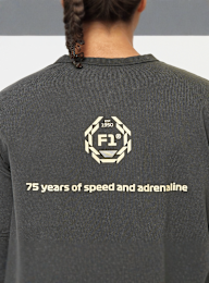 PUMA, F1 Graphic Ringer Tee, grey, Image 6 of 7