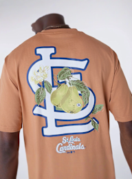 New Era, MLB Fruit Graphic Tee St. Louis Cardinals, orange, Image 4 of 5