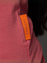 SNIPES, Snipes Varsity Raglan Tight Tee, rood, Afbeelding 4 van 5