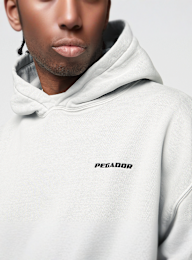 Pegador, LOGO OVERSIZED HOODIE WASHED BLACK, grey, Image 3 of 4