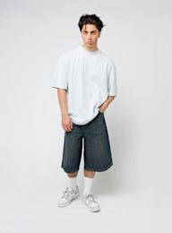 Reell, Belmont Short, blue, Image 5 of 5